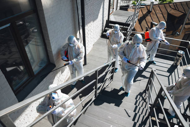 Best Mold Remediation for Healthcare Facilities  in Newton, NJ