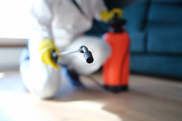 Trusted Newton, NJ Mold Removal Experts