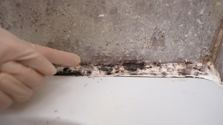 Mold Remediation for Vacation Homes in Newton, NJ